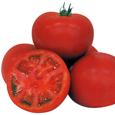 以色列牛番茄-種子