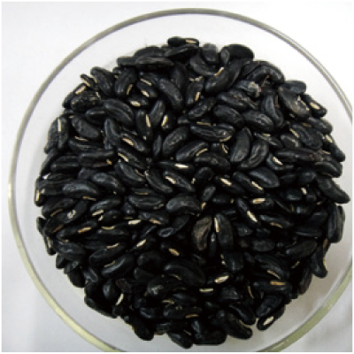 黑仁青皮菜豆-種子