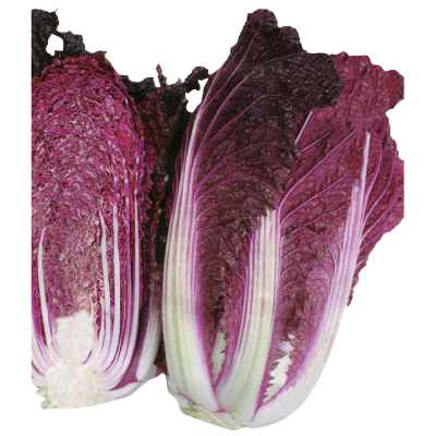 赤紫結球白菜-種子
